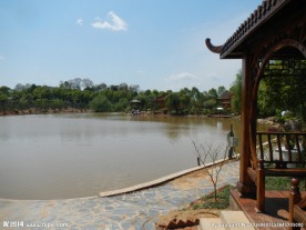 吉安兴桥苗圃基地