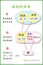 疾病的由来