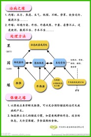 疾病的因果缘