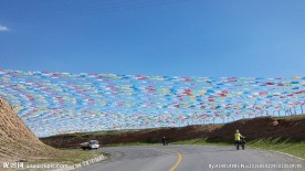 青海