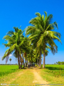 美丽风景