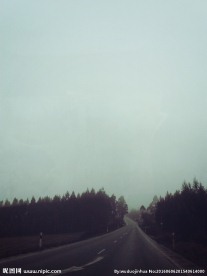 野外的风景