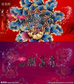 牡丹花开宝贵视频背景