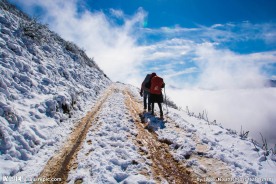 徒步登山