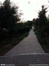 公园道路