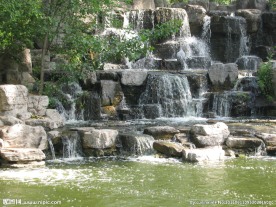 动物园风景