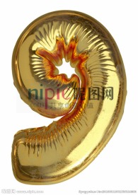 气球数字9