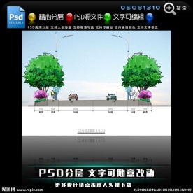 景观工程五标段绿化立面图