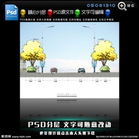 景观工程六标段绿化立面图