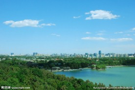 森林城市