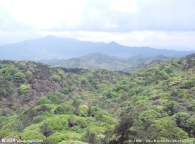 山谷顶峰