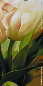 百合花