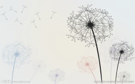 手绘蒲公英背景