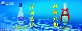 洋河大曲 双沟 蓝优