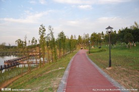 公园的小路