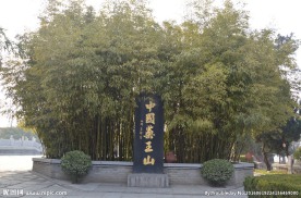 中国药王山