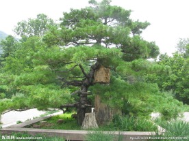 南植物园风景 南植物园美景 园