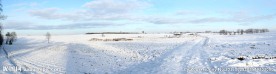 雪原