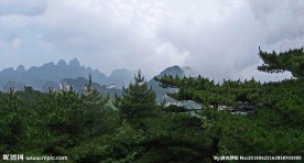 黄山云雾