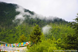 西藏风景