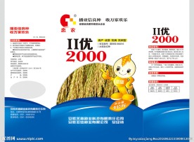 水稻种子
