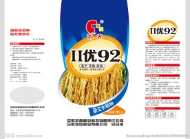 水稻种子