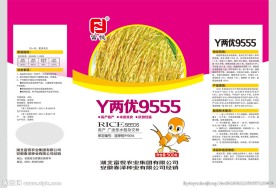 水稻种子