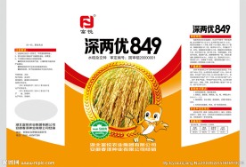 水稻种子