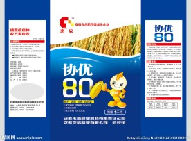 水稻种子