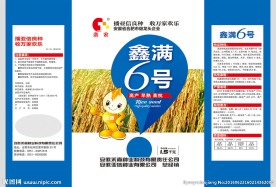 水稻种子