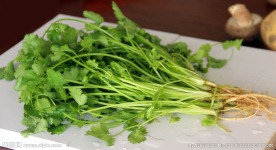 香菜