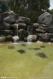 海龟岛