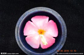 模糊朦胧的肥皂雕刻