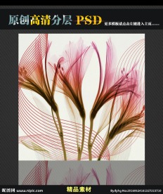素百合花