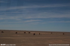 戈壁滩风光