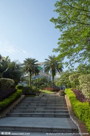 户外植物旅游景点