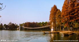 武汉东湖风景