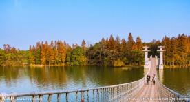 武汉东湖风景
