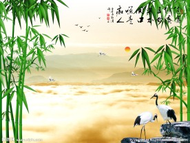 双鹤电视背景墙图片