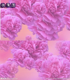 牡丹花开新年庆祝视频