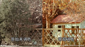 林中的小屋