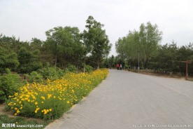 念坛公园风景