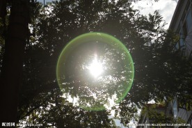 夏日光圈