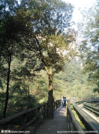 十里画廊