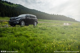 英菲尼迪qx80