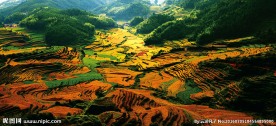 梯田风光
