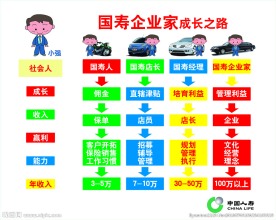 中国人寿企业家成长之路