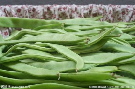 豆荚