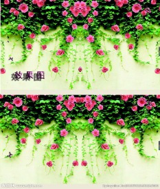唯美玫瑰蔓藤背景视频