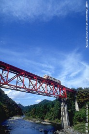 高架桥上行驶的火车